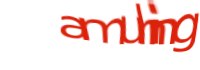 Imagen del CAPTCHA